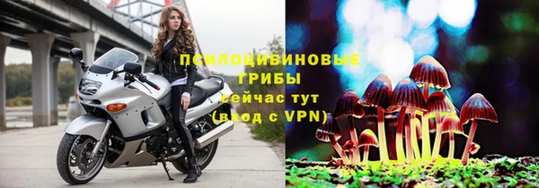 ешки Володарск