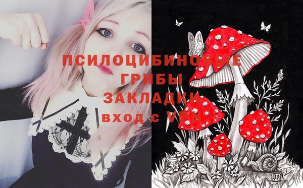 дживик Волосово