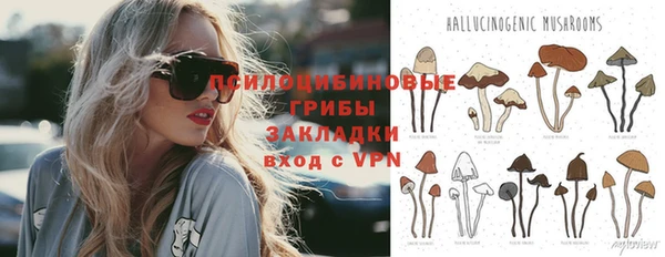 ешки Володарск